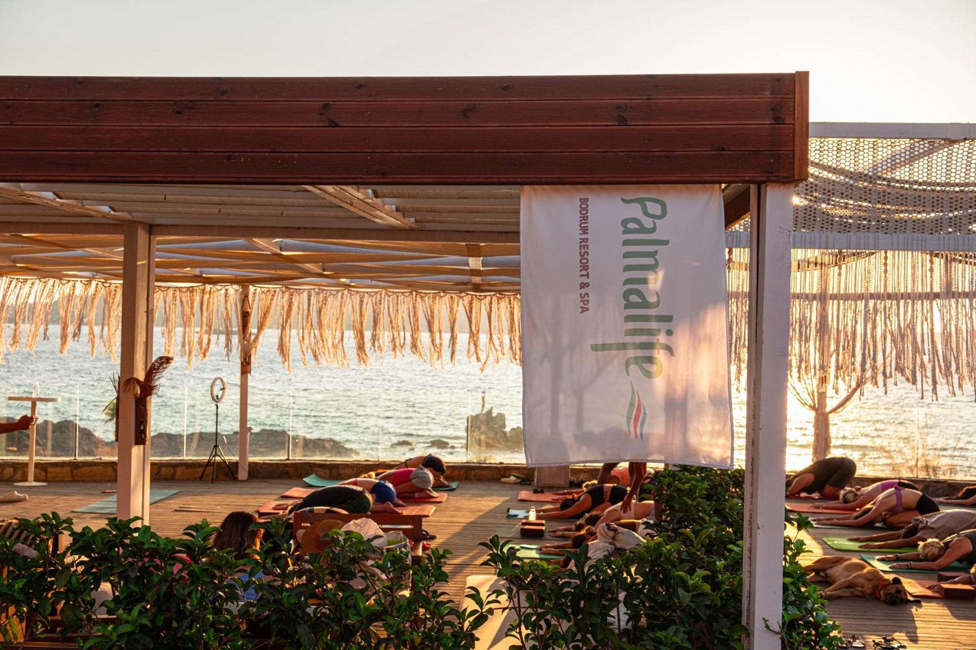 Курортный комплекс Palmalife Bodrum & Яликовак